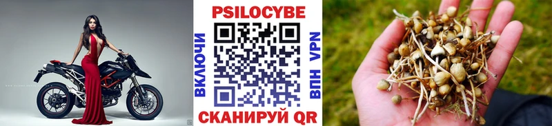 Галлюциногенные грибы MAGIC MUSHROOMS  blacksprut вход  Пестово 